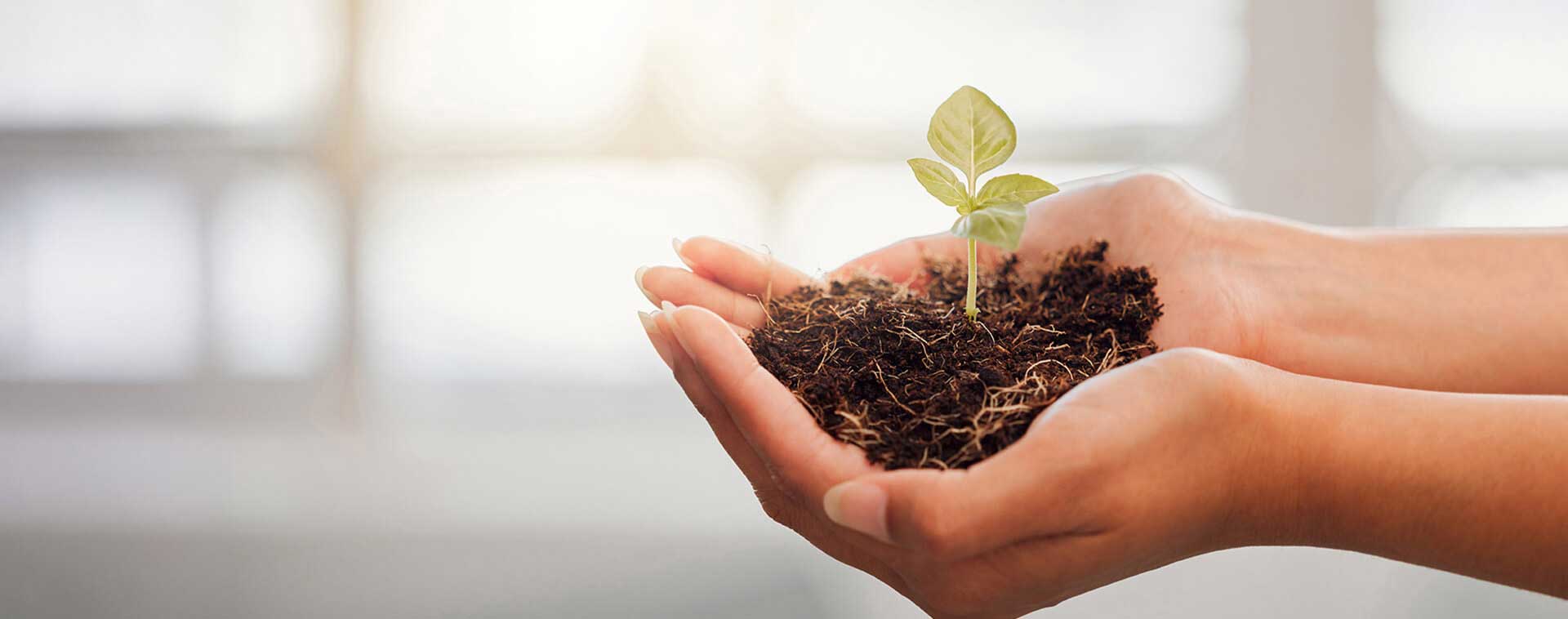 智联万物 责任先行