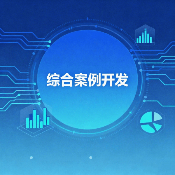 综合案例
